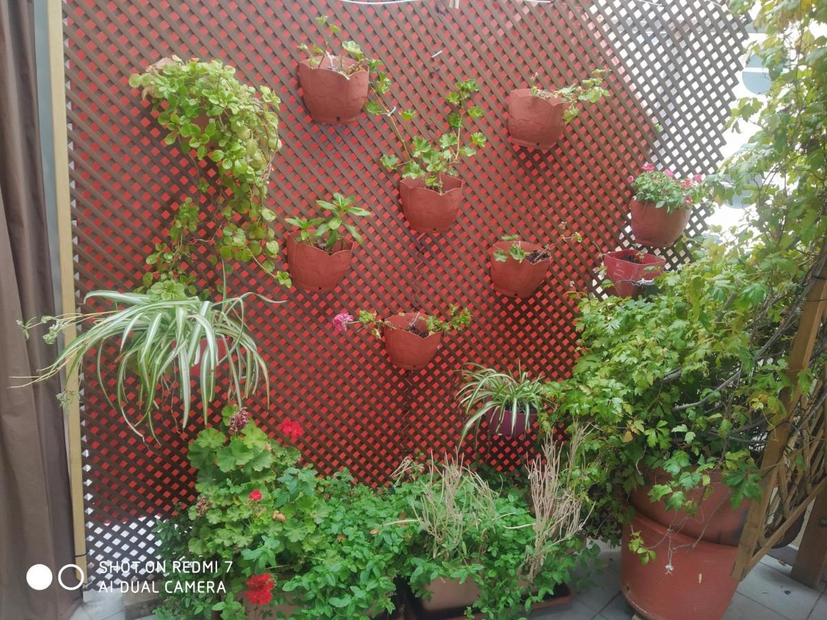 Habitacion Familiar En Un Atico Con Gran Terraza Y,Cocina ,En La Playa Burriana Dış mekan fotoğraf